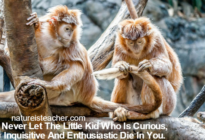 Don't Let The Small Kid Die In You QUOTATION