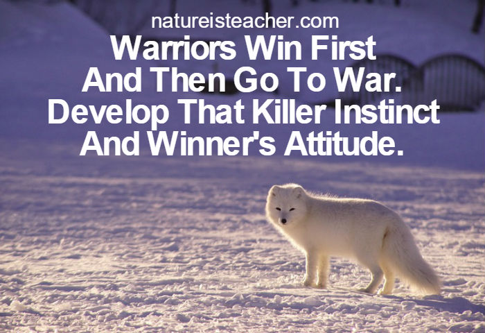 Warriors Win First Then Goes To War QUOTATION